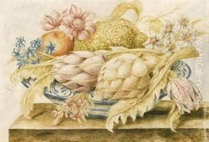 Natura Morta by Octavianus Montfort