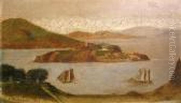 View Of Alcatraz - view 1