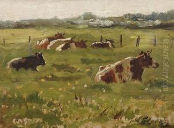 Cows In The Meadow - view 1