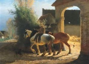 Robianohoeve Te Tervuren Robianohoeve Te Tervuren