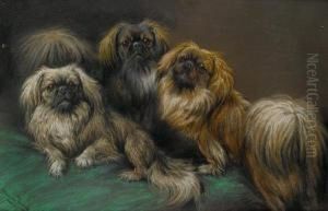 Russet And Gold by Fannie Moody