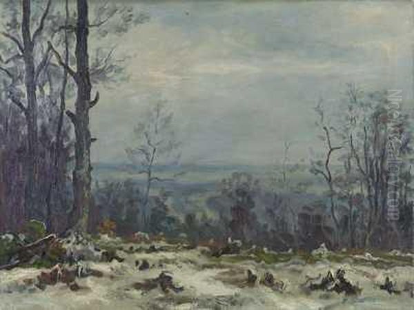 Winterliche Taunuslandschaft - view 1