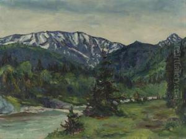Voralpenlandschaft Mit Fluslauf - view 1