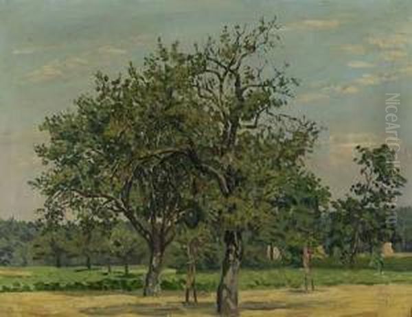 Apfelbaume In Sommerlandschaft - view 1