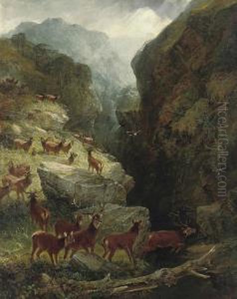The Secret Glen - view 1