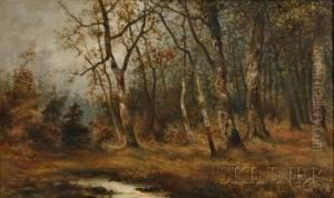 Wooded Grove In Autumn Wooded Grove In Autumn
