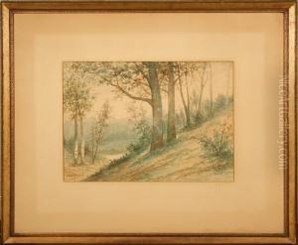 Landscape - view 1