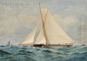 View Of A Racing Yacht