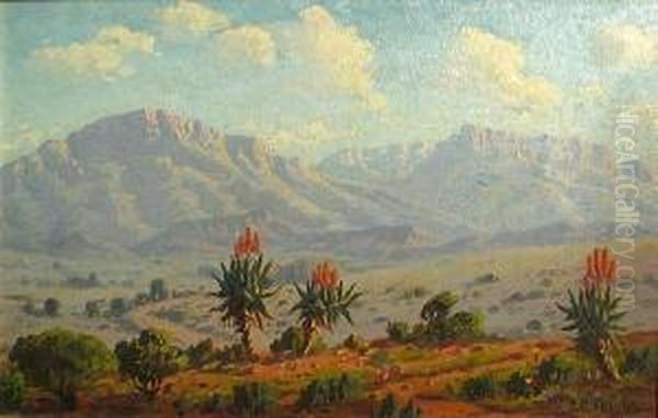 Aloes And Mountains, Riversdale, South Africa - view 1