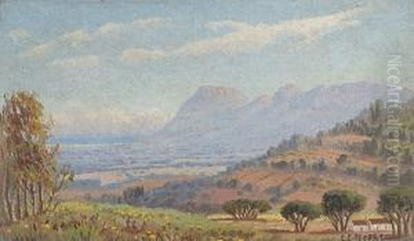 View Of Constantia - view 1