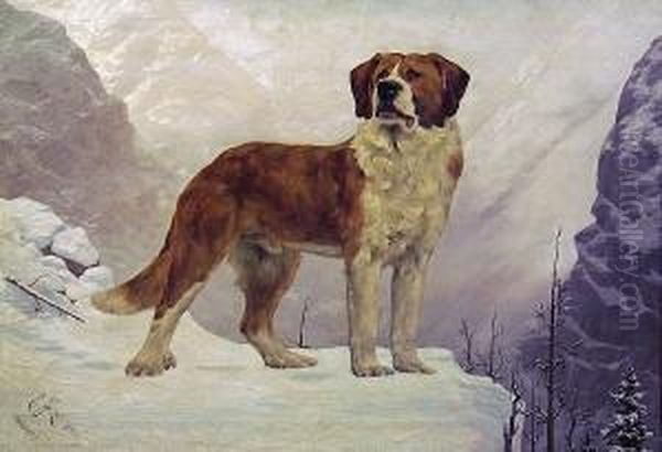 St. Bernard In The Mountains - view 1