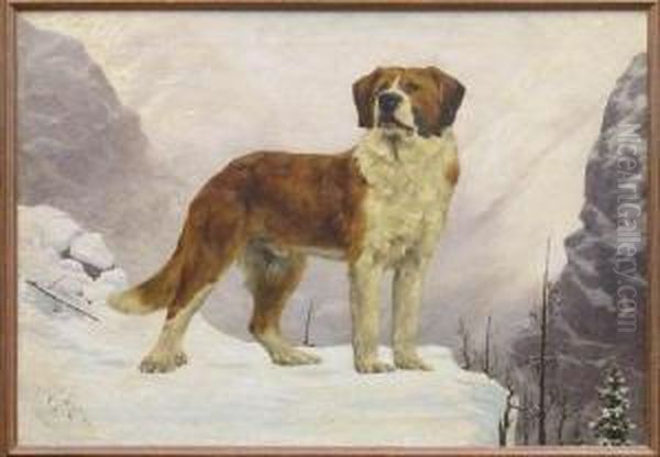 Saint Bernard In The Mountains - view 1