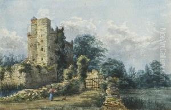 Drimnagh Castle - view 1