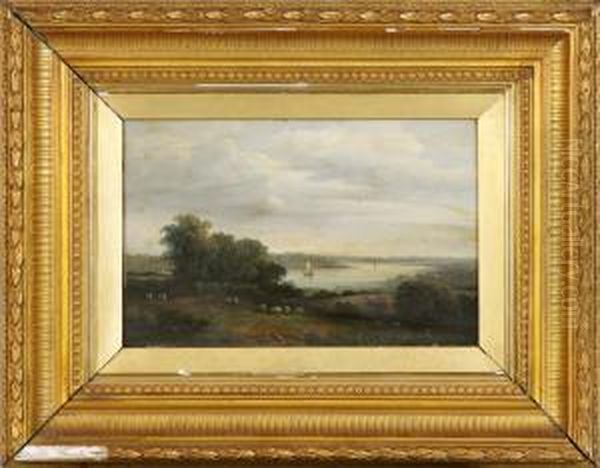 Sheep By Lake - view 1