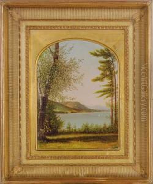 View Of Lake George Through The Forest Clearing - view 1