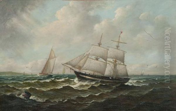 Vessels Off The Coast - view 1