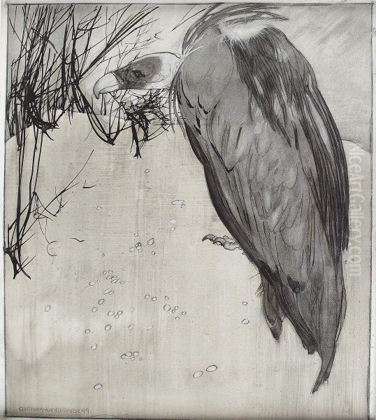 The Vulture - view 1