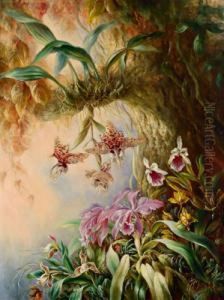 Wilde Orchideen by Friedrich Moos