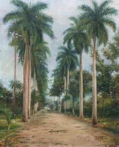 Unepalmeraie A Cuba by Eduardo Morales