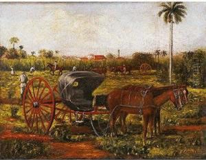Plantacion Deazucar