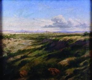 Paisaje De Mexico by Eduardo Morales