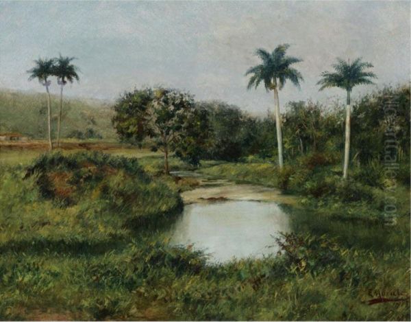 Cuban Landscape - view 1