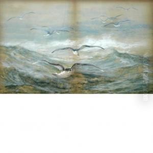 Gulls In The Surf