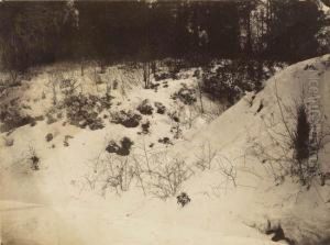 Study Of Snow by John Moran