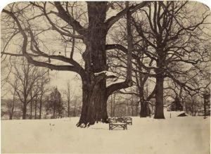 In Fairmount Park