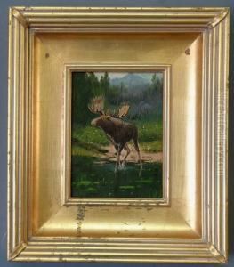 A Moose