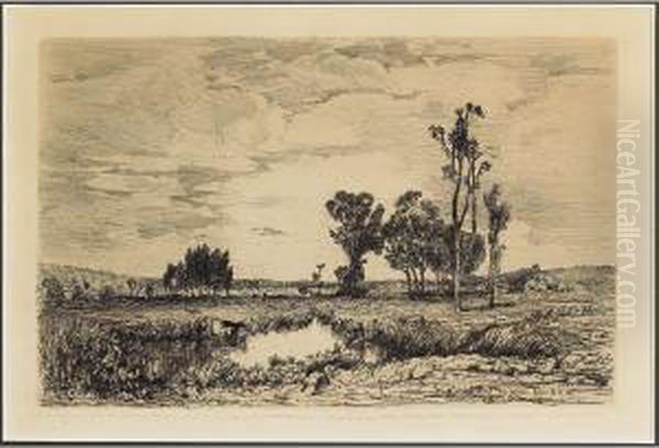 Cattle At A Pond - view 1