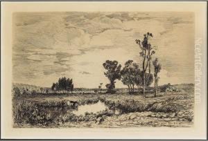 Cattle At A Pond