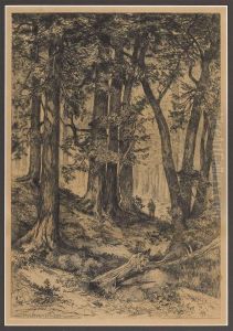 Interior Of A California Forest Interior Of A California Forest