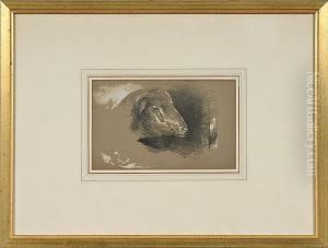 Mountain Sheep by Peter Moran
