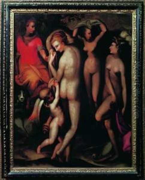 Giudizio Di Paride - view 1
