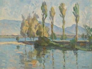 Vue Du Lac Depuis Versoix by Arthur Morard
