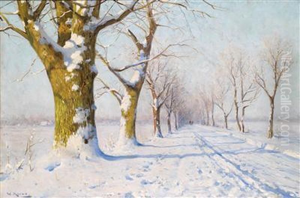 A Sunny Winter""""s Day - view 1