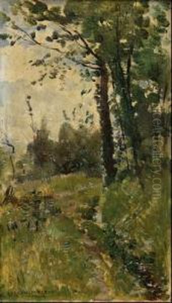 Paisaje Con Arboles - view 1