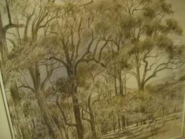 Hodgsonvale Vicinity - view 1