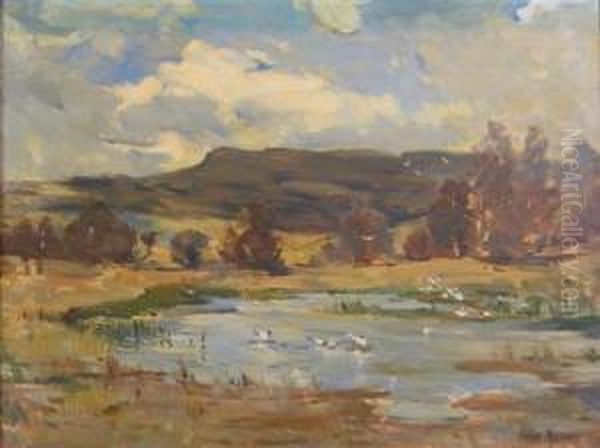 Gulls Nesting Place In Glenfender - view 1