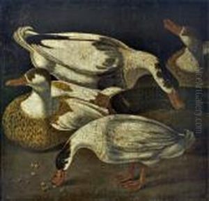 Patos Patos
