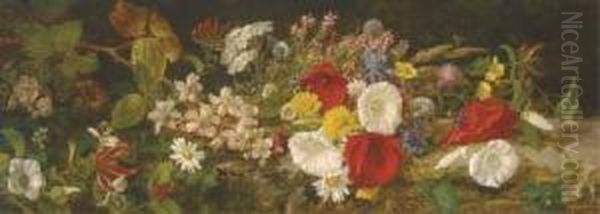 A Spray Of Wildflowers On A Bank - view 1