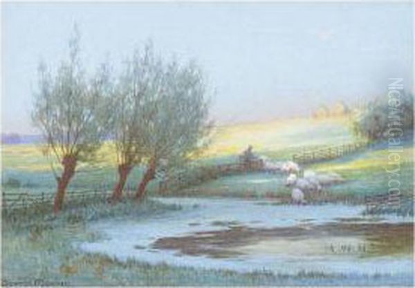Sheep Watering - view 1
