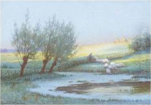 Sheep Watering by Baxter Morgan