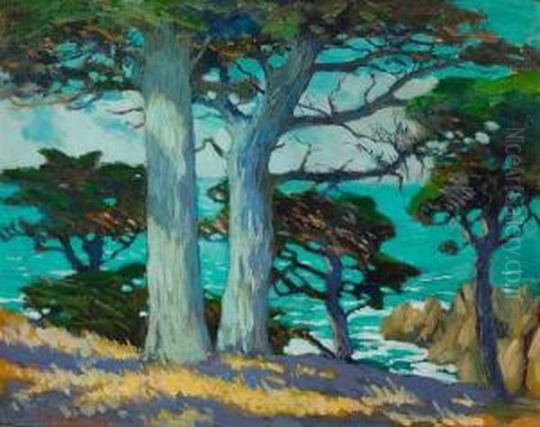 Cypress, Carmel Coast - view 1