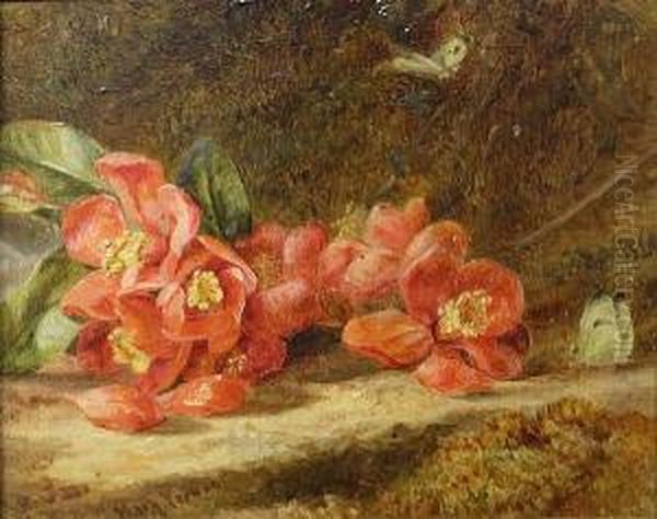 Dog Roses And Butterflies - view 1