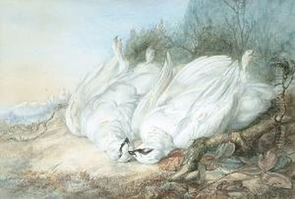 Still Life Of Ptarmigan - view 1