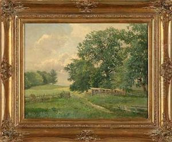 Die Eichen Von Ettenhofen - view 1
