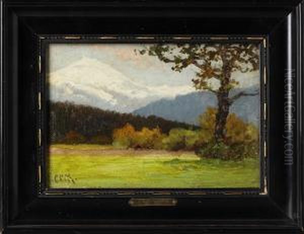 Alplandskap - view 1