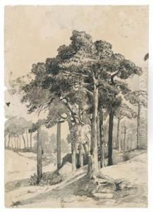 Waldstudie by Antonio (Il Tenente) Morghen